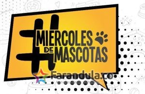 El gran logro de los influenciadores por los animales – #miercolesdemascotas