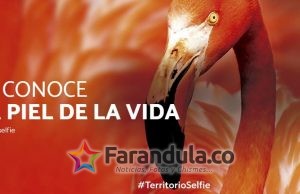 Bogotá vive la experiencia “En la piel de la vida”