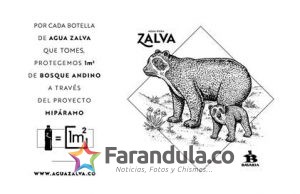 Agua Zalva, el nuevo producto de Bavaria para proteger los páramos colombianos