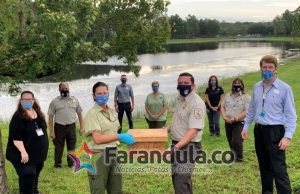 Colaboración entre los Estados Unidos y Brasil permite devolver ranas de especie poco común del Amazonas