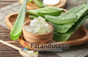 Guía sobre hidratación y aloe vera