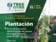Bogotá contará con nuevos bosques para prevenir derrumbes, inundaciones y temperaturas extremas del cambio climático