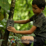 Osa Conservation_Gonzalez learns to install camera traps to monitor wildlife in his community_photo credit – Osa Conservation (1) (1)