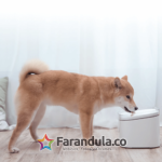 Xiaomi Smart Pet Fountain 1