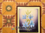 Nopal presenta Funeral, que hace parte de su próximo álbum Los Inquilinos Melancólicos