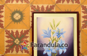 Nopal presenta Funeral, que hace parte de su próximo álbum Los Inquilinos Melancólicos