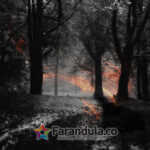 unnamed (6)