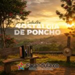 LA NOSTALGIA DE PONCHO