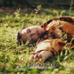 unnamed (8)