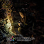 bella-ramsey_1 (1)