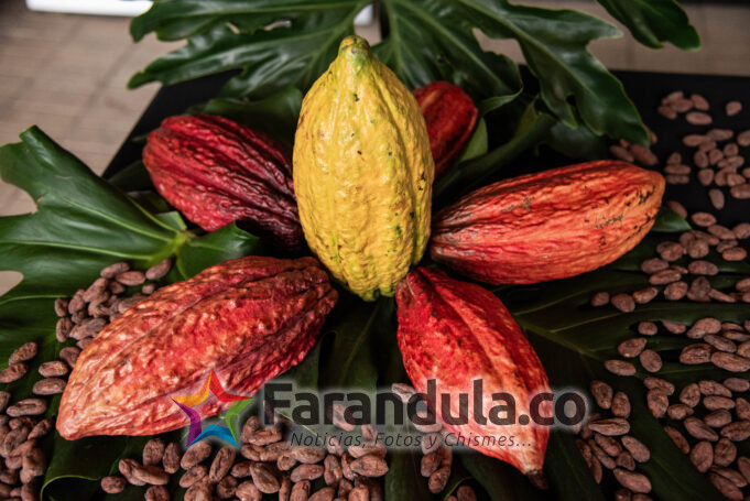 El poder del cacao regresa a Corferias con la séptima edición de Chocoshow