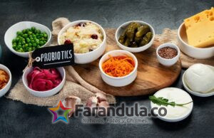 ¿Qué se sabe hasta ahora sobre los probióticos? Preguntas y respuestas comprobadas por la ciencia
