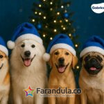 WhatsApp Image 2025-12-12 at 9.35.29 AM