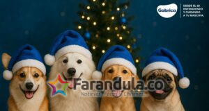 Lo que llega a Netflix Colombia en enero