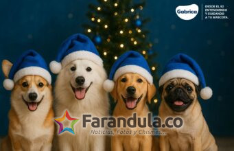 Lo que llega a Netflix Colombia en enero