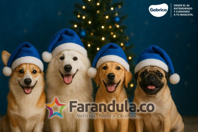 WhatsApp Image 2025-12-12 at 9.35.29 AM