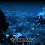 HUAWEI WATCH ULTIMATE 2 (2)