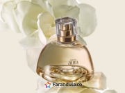 Cuando el lujo cambia de lenguaje: Aura Alba como una nueva interpretación de la alta perfumería