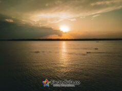 El 87 % de los consumidores afirma preferir productos de marcas comprometidas con el planeta