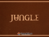 JUNGLE: el fenómeno global del baile regresa a Bogotá para presentar ‘Sunshine’
