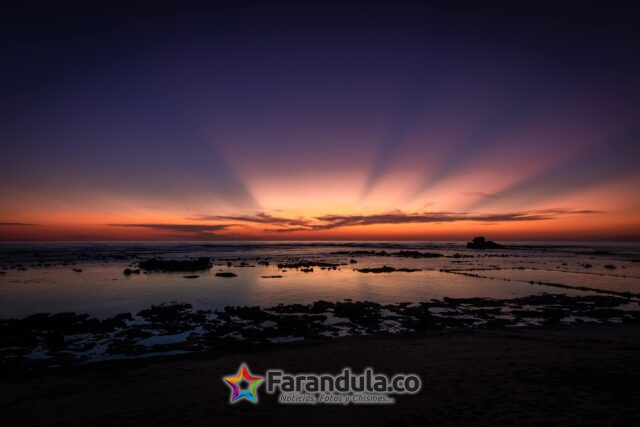 decameron_salinitas_extras_2-5