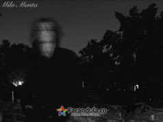 Adiós a los clichés del indie: Milo Menta nos arrastra al lado oscuro con «Sombra»