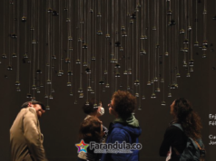 El Museo de Arte Moderno de Medellín amplía su apuesta internacional con cuatro nuevas exposiciones y una experiencia inmersiva de Débora Arango