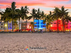Miami y Miami Beach: nuevas aperturas, experiencias y planes para descubrir este trimestre