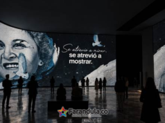 Débora Arango como nunca antes: el MAMM convierte su obra en una experiencia inmersiva