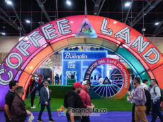 Del café de origen a la innovación: 10 experiencias para descubrir en Cafés de Colombia Expo 2026